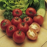 Tomato Seeds - Alicante