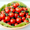 Tomato Seeds - Garnet