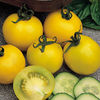 Tomato Seeds - Golden Sunrise