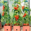 Tomato Success Kit
