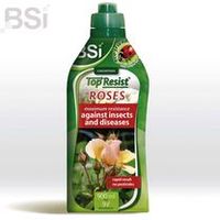 Top Resist Roses