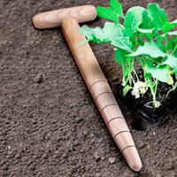 Traditional Oak T-Dibber