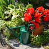 Traditional Watering Can