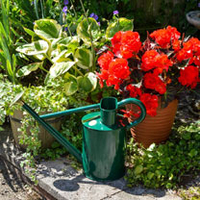 Traditional Watering Can