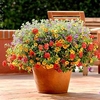 Trixi Plant - Ayers Rock