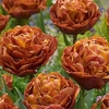 Tulip (Early Double) Bulbs - Brownie