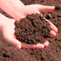 Turfland Topsoil