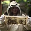 Urban Beekeeping and Honey Craft Beer Tasting for Two