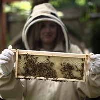 Urban Beekeeping and Honey Craft Beer Tasting for Two