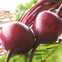 Value Vegetable Seed Collection - July-August Harvest
