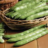 Value Vegetable Seed Collection - May-June Harvest