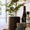 Vase cylinder Loop