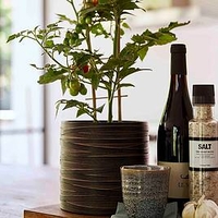 Vase cylinder Loop