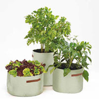 Vegetable Patio Planters