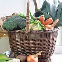 Vegetable Plants - 