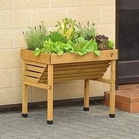 VegTrug mini wallhugger with No frame and cover