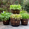 VegTrug Wooden Barrel Planter Burnt Oak + Free Seeds