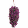 Verbena Tapien Trailing Plants - PURPLE