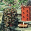 Victorian Strawberry Planter