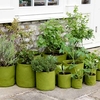 Vigoroot Herb Planter