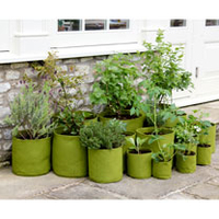 Vigoroot Potato/Tomato Planter