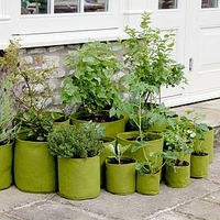 Vigoroot Pots and Planters