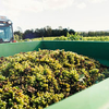 Vineyard Tour and Tasting with Unlimited Cream Tea for Two