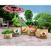Vintage Eggplant Planters