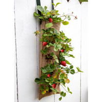 Vintage Hanging Pouches