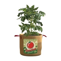 Vintage Tomato Planters
