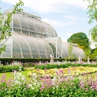 Visit to Kew Gardens with Thames River Cruise from Central London for Two