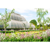 Visit to Kew Gardens with Thames River Cruise from Central London for Two