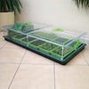 Vitopod Propagator - Double Length