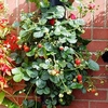 Wall Mounted or Floor Freestanding Flower Tower