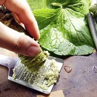 Wasabi Japonica Plants
