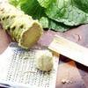 Wasabi Plant