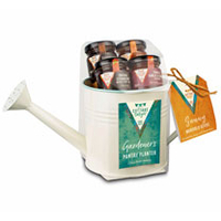 Watering Can Planter Hamper