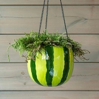Watermelon Design Flower Pot