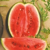 Watermelon Seeds - Rosario F1