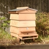 WBC Beehive Starter Kit