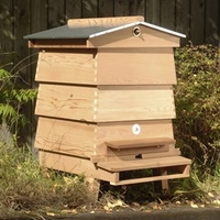WBC Hive Starter Kit