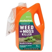 Weed & Moss Killer for Paths & Patios Ecofective® - Ready to Use