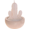White Cactus Candles