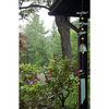 Wind Chime - Dragonfly Windbell