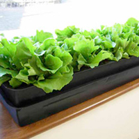Windowgrow Self-watering System