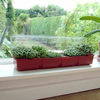Windowsill Salad Seeds Kit