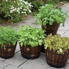 Wooden Barrel Planter MEDIUM - Burnt Oak (Pair)