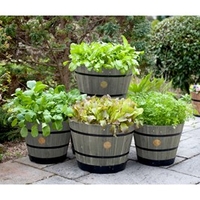Wooden Barrel Planter SMALL - Grey Wash (Pair)