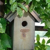 Wren Bird Box - Bitumen Roof