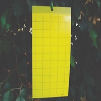 Yellow Sticky Fly Traps